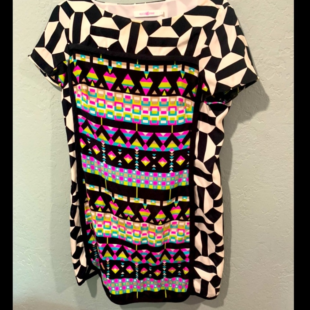 Alice & Trixie t-shirt style pullover mini dress